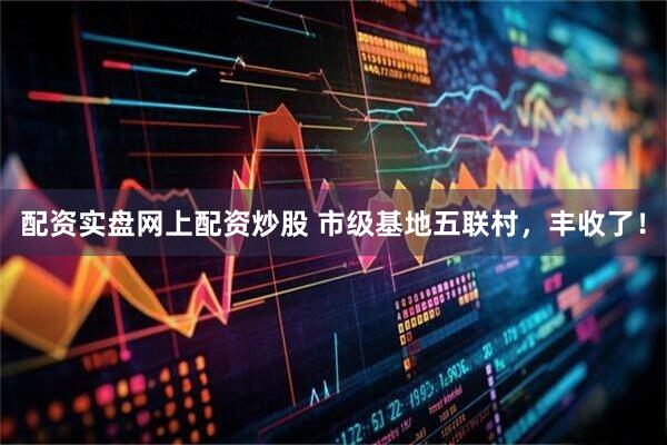 配资实盘网上配资炒股 市级基地五联村，丰收了！
