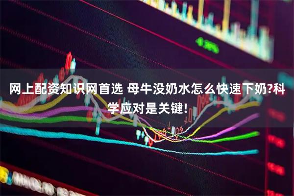 网上配资知识网首选 母牛没奶水怎么快速下奶?科学应对是关键!
