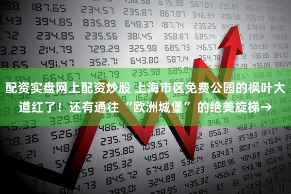 配资实盘网上配资炒股 上海市区免费公园的枫叶大道红了！还有通往 “欧洲城堡” 的绝美旋梯→